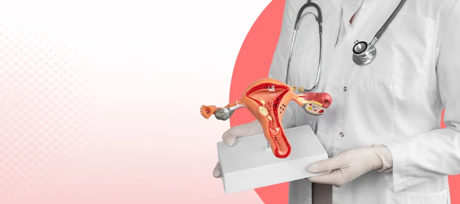 What Is Gender-Affirming Surgery? Procedures, Recovery & Expected Results